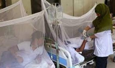  বরিশালে একদিনে সর্বোচ্চ ৩৪৮ জনের ডেঙ্গু শনাক্ত
