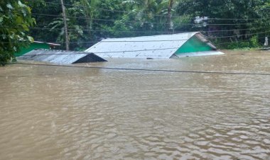 সাঙ্গুর পানিতে ডুবছে ঘরবাড়ি, গাছ পড়ে রুমা-থানচি যোগাযোগ বিচ্ছিন্ন