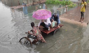 নারায়ণগঞ্জে রাতভর বৃষ্টি, ঘরের ভেতর কোমর পানি