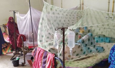  ফরিদপুরে ডেঙ্গুতে আরও এক নারীর মৃত্যু, নতুন আক্রান্ত ১৩৭