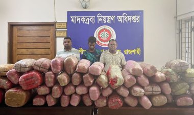 স্বরাষ্ট্র মন্ত্রণালয়ের স্টিকারযুক্ত গাড়িতে ২৪০ কেজি গাঁজা, আটক ৩