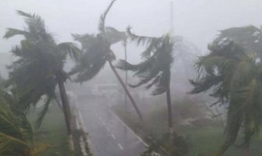 যেসব অঞ্চলে ৮০ কিমি বেগে ঝড় বয়ে যেতে পারে 