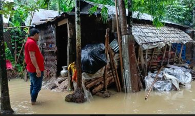 রাঙামাটিতে পানিতে তলিয়ে গেছে বসতঘর-আবাদি জমি 