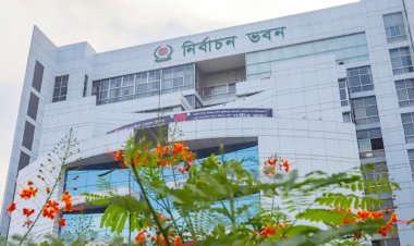 পর্যবেক্ষক নিবন্ধন : ইসির প্রাথমিক তালিকায় ৬৮ সংস্থা