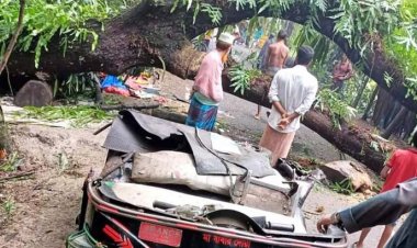 চিকিৎসাধীন মাকে দেখে বাড়ি ফেরার পথে মাদ্রাসা শিক্ষক নিহত