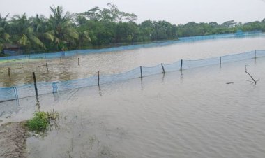 সন্ধ্যায় নিখোঁজ, পরদিন সকালে মাছের ঘেরে মিলল তিন ভাই-বোনের মরদেহ