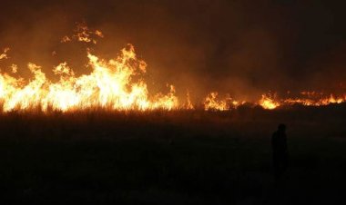 দাবানলে পুড়ে ছাই হাওয়াই দ্বীপের মাউয়ি শহর, মৃত বেড়ে ৫৩