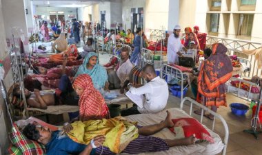 ডেঙ্গুতে হাসপাতালে ভর্তি রোগী ৮০ হাজার ছাড়ালো, ৩৭৩ জনের প্রাণহানি