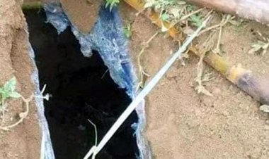 কবরস্থান থেকে ১১টি কঙ্কাল উধাও