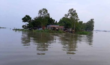 বাড়ছে যমুনা নদীর পানি