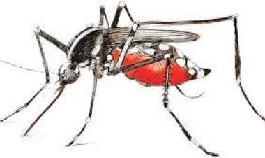  খুলনায় ডেঙ্গুতে একজনের মৃত্যু