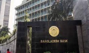 কেন্দ্রীয় ব্যাংকের নির্দেশনা ডেঙ্গু প্রতিরোধে ব্যাংকগুলোকে যা করতে হবে