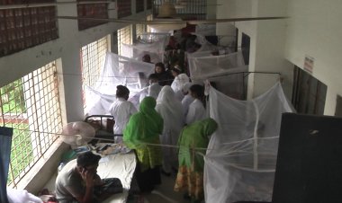 রোগী ছাড়ালো সাড়ে ৩ হাজার, মৃত্যু ৮ খুলনা বিভাগে ভয়াবহ হচ্ছে ডেঙ্গু পরিস্থিতি