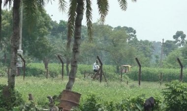 মহেশপুর সীমান্তে বাংলাদেশি যুবককে বিএসএফের গুলি