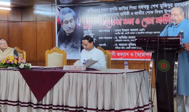 বঙ্গবন্ধু না হলে বাংলাদেশ হতো না : প্রবাসী কল্যাণমন্ত্রী