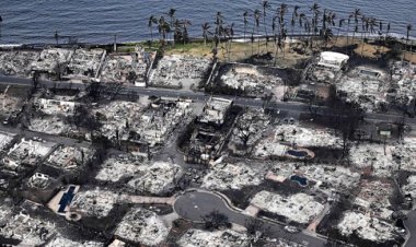  সমালোচনার জেরে হাওয়াই দ্বীপ পরিদর্শনে যাচ্ছেন বাইডেন