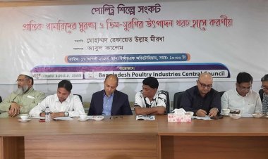  ডিম ও মুরগির দাম নিয়ে প্রধানমন্ত্রীর হস্তক্ষেপ কামনা