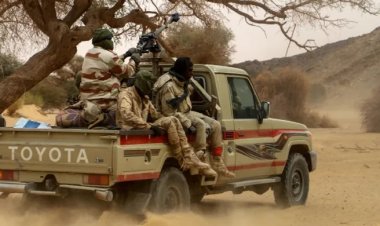  মালি সীমান্তের কাছে নাইজারের ১৭ সেনা নিহত