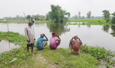 পাউবোর গাফিলতিতে হাজারো একরের ফসল উৎপাদন ব্যাহত!