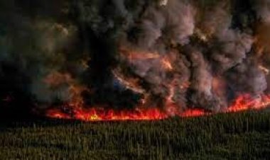 ভয়াবহ দাবানলে জ্বলছে কানাডা, এলাকা ছাড়ছে বাসিন্দারা