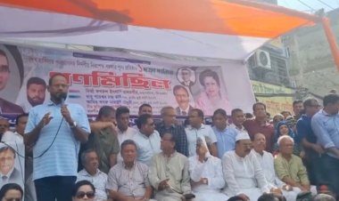শেখ হাসিনার পতন ঘটিয়ে নেতাকর্মীদের মুক্ত করা হবে: টুকু