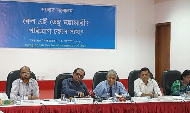 মশা নিধন কার্যক্রমের কার্যকারিতা নেই: দাবি বিশেষজ্ঞদের