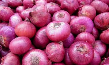 পেঁয়াজের রপ্তানি শুল্ক ৪০ শতাংশ বাড়ালো ভারত