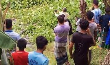  নিখোঁজের ৩ দিন পর নদী থেকে মিশুকচালকের পা কাটা মরদেহ উদ্ধার 