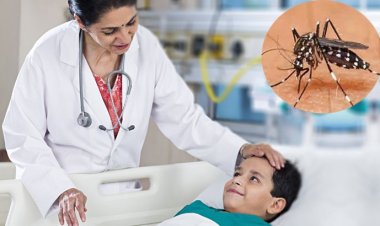 ডেঙ্গু থেকে বাঁচতে কী করবেন?