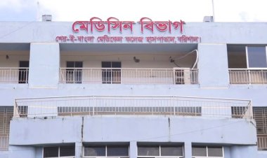  বরিশালে ডেঙ্গুতে ২ জনের মৃত্যু, হাসপাতালে ভর্তি ২৫৯