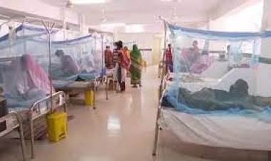 ডেঙ্গুতে চট্টগ্রামে দুইজনের মৃত্যু, আক্রান্ত ১৬১