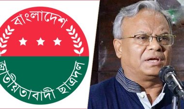 ছাত্রদলের সহ-সভাপতিকে তুলে নেয়ার অভিযোগ