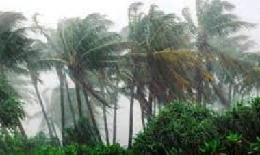  ১৯ অঞ্চলে ঝোড়ো বৃষ্টির আভাস
