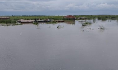  কুড়িগ্রামে ২৪ ঘণ্টায় ৭৭ মিলিমিটার বৃষ্টিপাত রেকর্ড