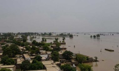 পাকিস্তানে ফের ভয়াবহ বন্যা, নিহত ১৭৫