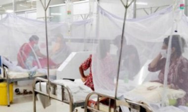  টাঙ্গাইলে ডেঙ্গুতে এক নারীর মৃত্যু, শনাক্ত ২২