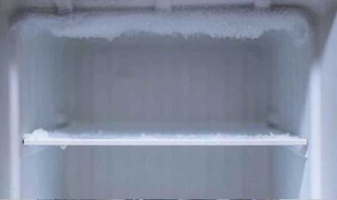 বন্ধ ফ্ল্যাটের ফ্রিজে মিলল শিশু গৃহকর্মীর লাশ