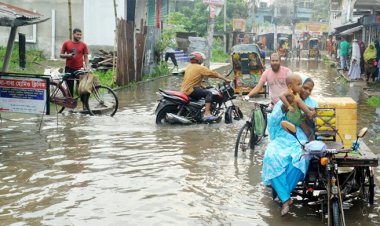 ৮০ কোটির প্রকল্পের ফল শূন্য, আরও আসছে ২০ কোটি