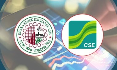  বিমা খাতের চমকে উত্থানে পুঁজিবাজার