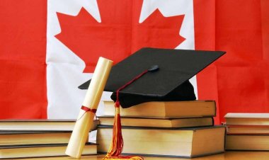  শিক্ষার্থী অভিবাসন ব্যবস্থায় দুর্নীতি, উদ্বিগ্ন কানাডার মন্ত্রী