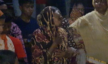 রেললাইনের পাথর দিয়ে মেরে বড় ভাইয়ের প্রাণ নিল ছোট ভাই 