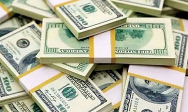 জিডিপিতে রেমিট্যান্সের অবদানে শ্রীলঙ্কার নিচে বাংলাদেশ