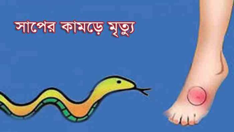 গাইবান্ধায় সাপের কামড়ে গৃহবধূর মৃত্যু