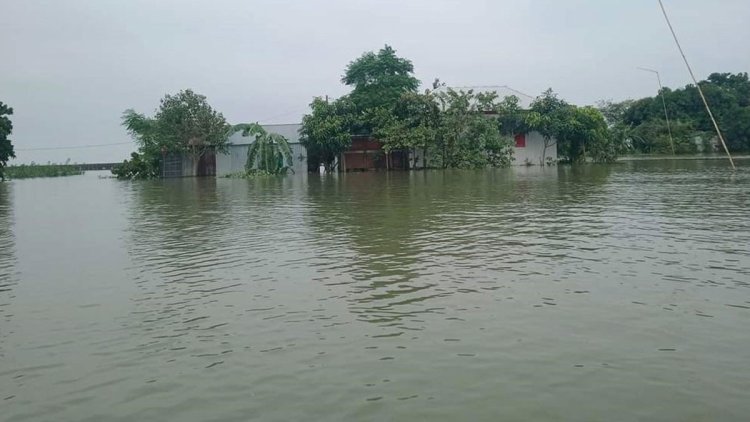 পানি বাড়ছে ব্রহ্মপুত্র-যমুনার