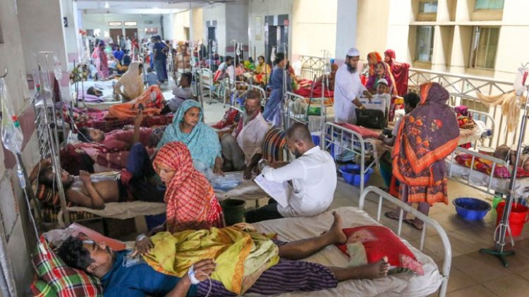 ডেঙ্গুতে হাসপাতালে ভর্তি রোগী ৮০ হাজার ছাড়ালো, ৩৭৩ জনের প্রাণহানি