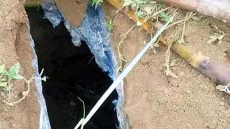 কবরস্থান থেকে ১১টি কঙ্কাল উধাও