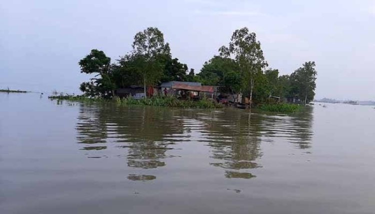 বাড়ছে যমুনা নদীর পানি