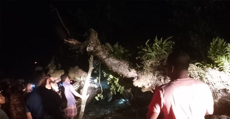 কাভার্ডভ্যানের ধাক্কায় গাছের ডাল ভেঙে বাসের ছাদে, নিহত ২