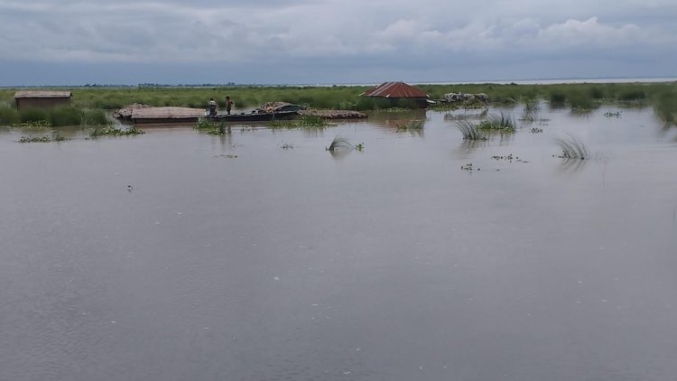 কুড়িগ্রামে ২৪ ঘণ্টায় ৭৭ মিলিমিটার বৃষ্টিপাত রেকর্ড