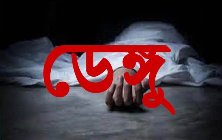 খুলনায় ডেঙ্গুতে কিশোরীর মৃত্যু